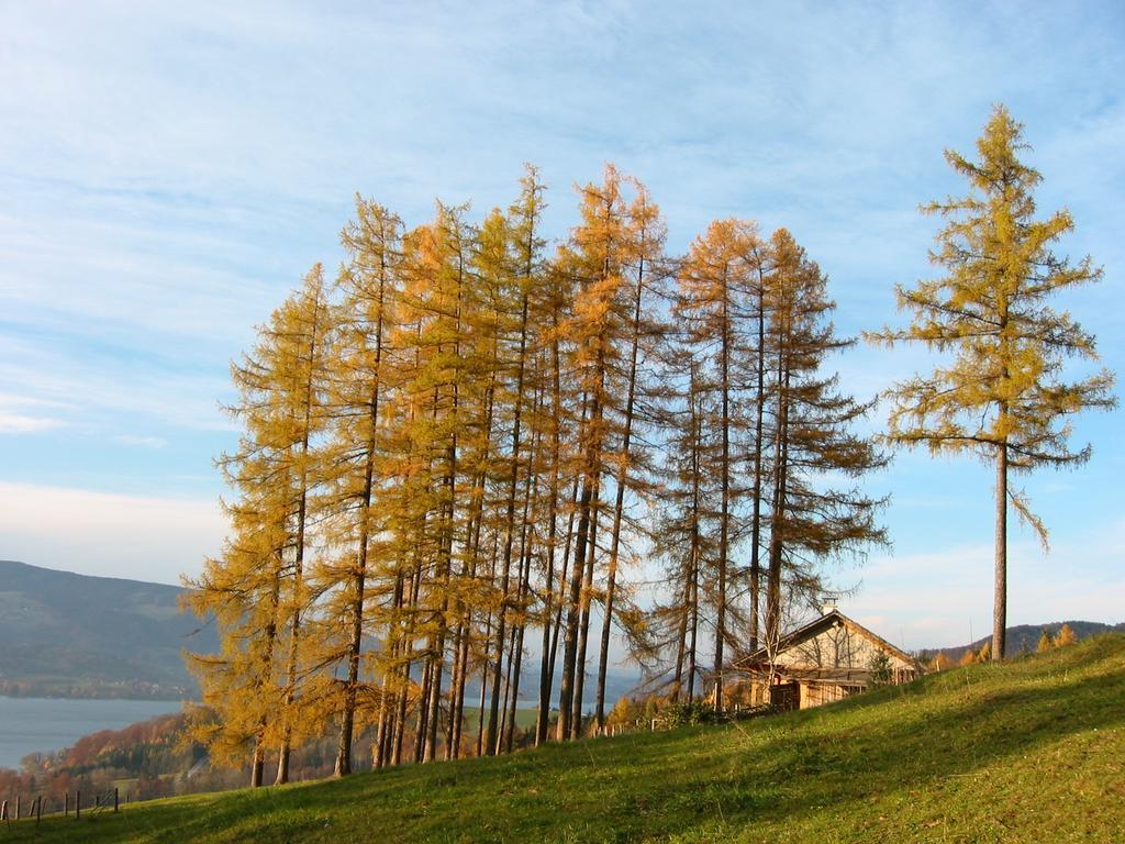 Attersee-Chalet Angermann Familie Spalt Apartman Steinbach am Attersee Kültér fotó